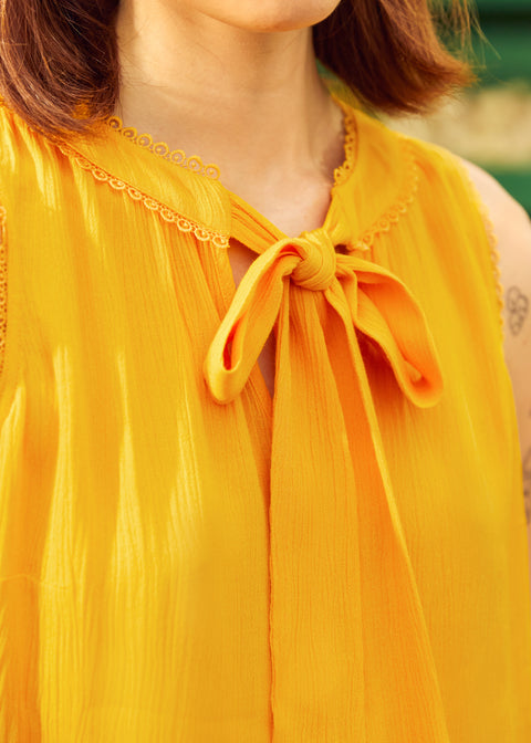 PRESALE Picnic Perfect Tie-Neck Top